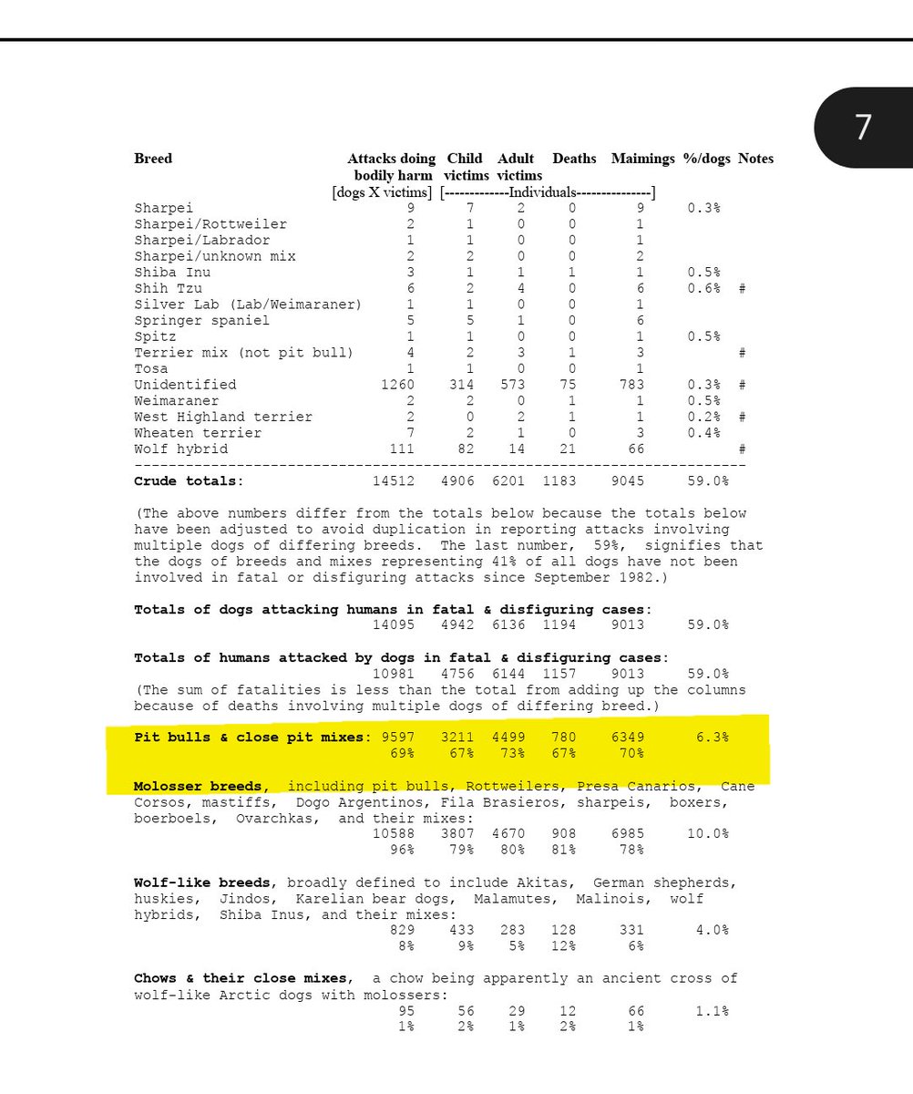 Captain Hook Games tweet media