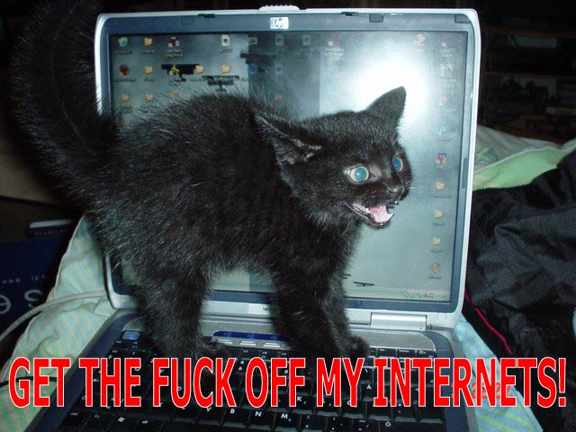 OMG HI KITTY!! tweet media