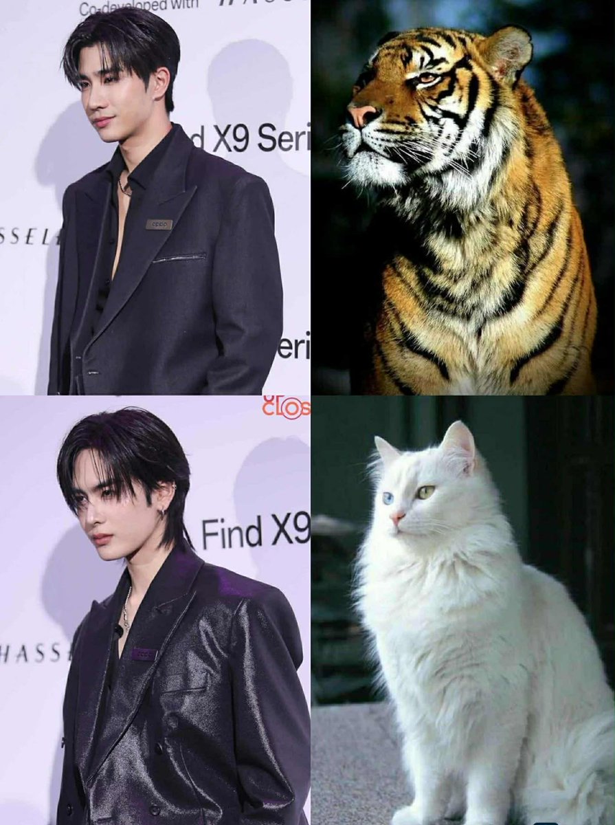 Octavia 🧸 tweet media