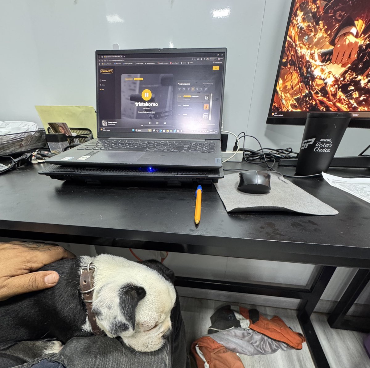 AkbalOx's tweet photo. #KornoEnVivo el Ozzy no sufre de sueño, duerme un chingo https://t.co/4y3rQs3txd