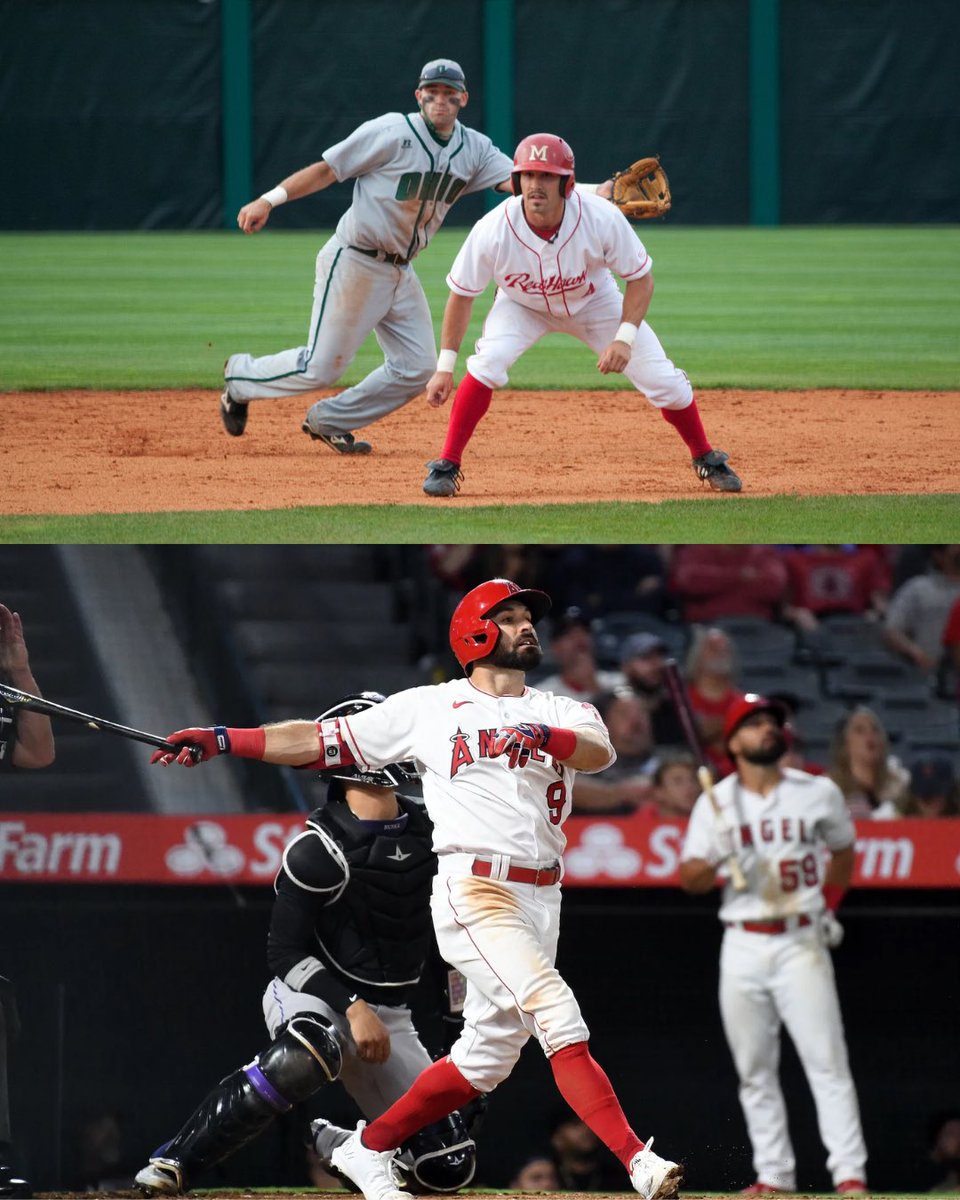 Miami Baseball tweet media