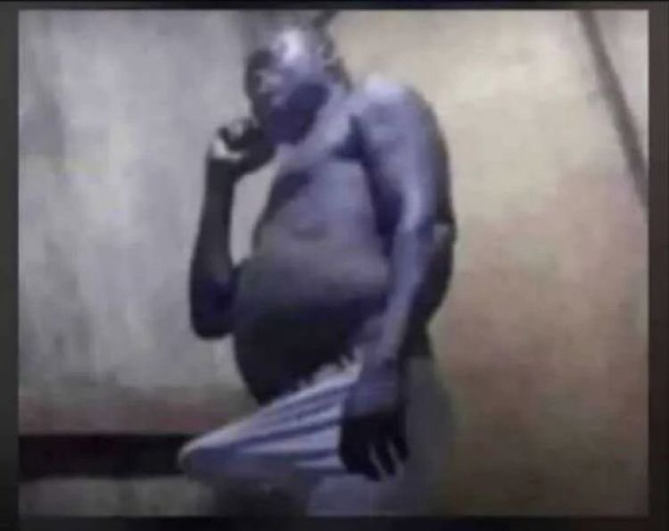 Pewfan_29 tweet media