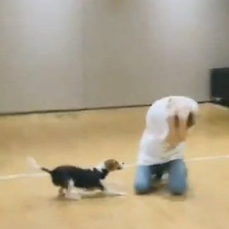 NCT Union Brasil tweet media