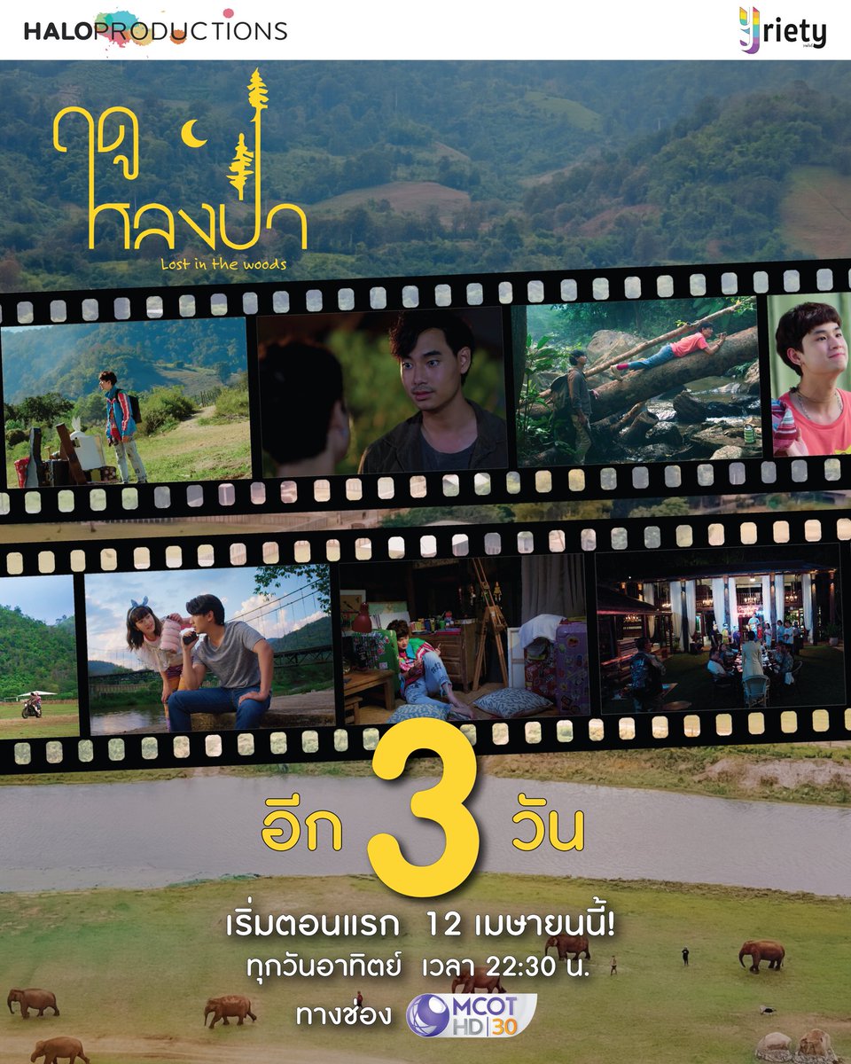 Yriety Official tweet media