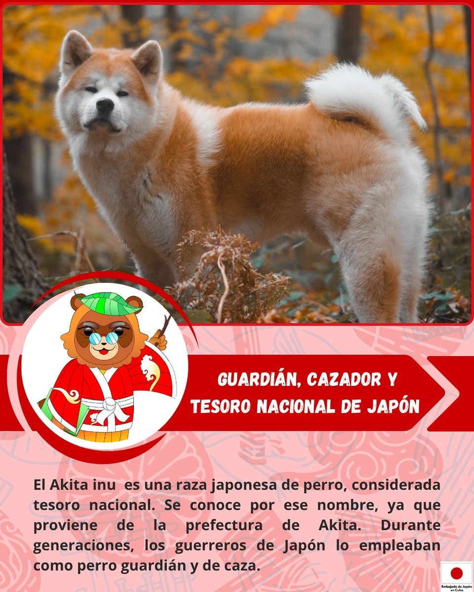 Embajada de Japón en Cuba tweet media
