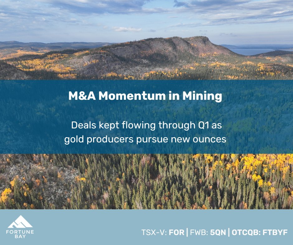 Fortune Bay Corp. tweet media