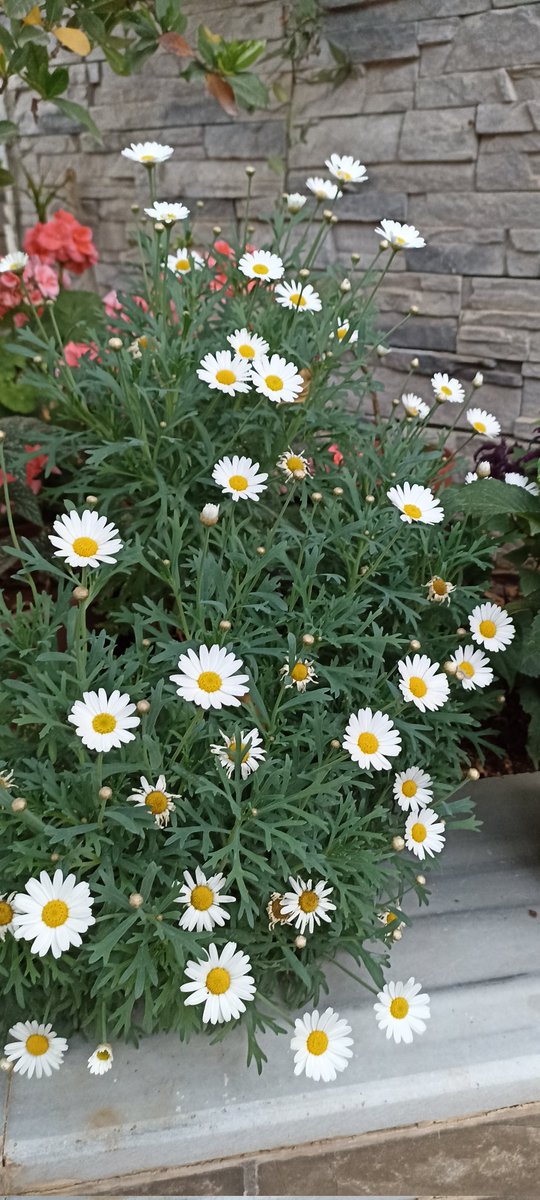 غريب tweet media