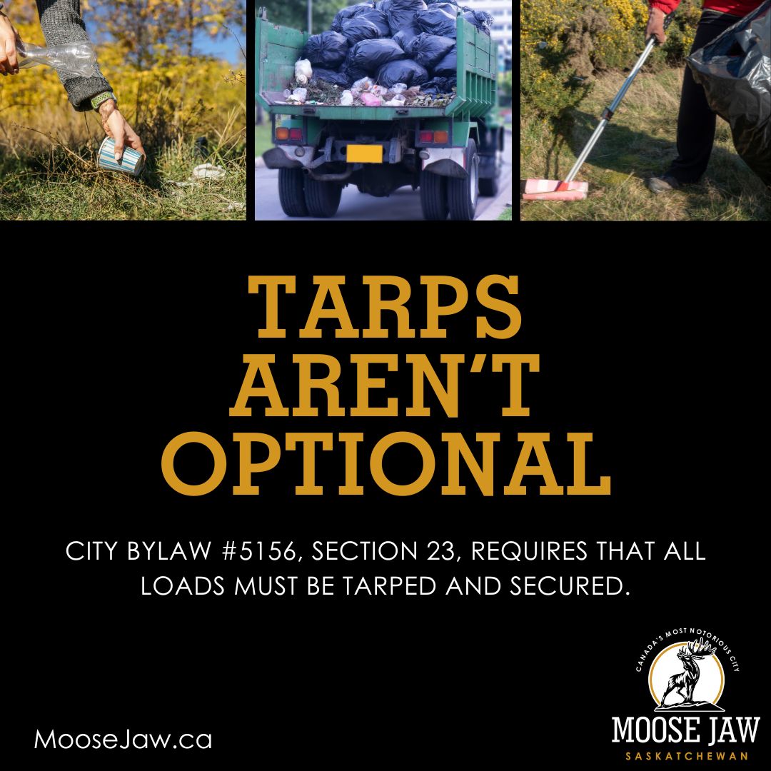 CityofMooseJaw's tweet image. Spring cleaning season is here!

Hauling yard waste or cleanup debris? Don’t forget — tarps aren’t optional when transporting waste within city limits. Get the full scoop at MooseJaw.ca/LetsTalkTrash.
#CityMJ #SpringCleaning #TarpsArentOptional
