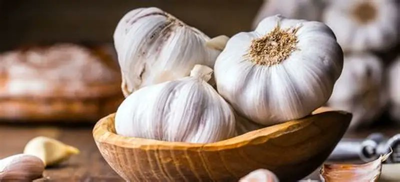 DedayoRoots's tweet photo. Amoxicillin is the most prescribed antibiotic in Nigeria.

The WHO declared antibiotic resistance one of the top 10 global health threats. Nigeria is a significant contributor, driven by over-the-counter antibiotic sales without prescription.

Meanwhile Garlic (allicin compound) has demonstrated broad-spectrum antimicrobial activity in over 23 peer-reviewed studies without creating resistance.

One costs ₦100-₦500 per bulb.
