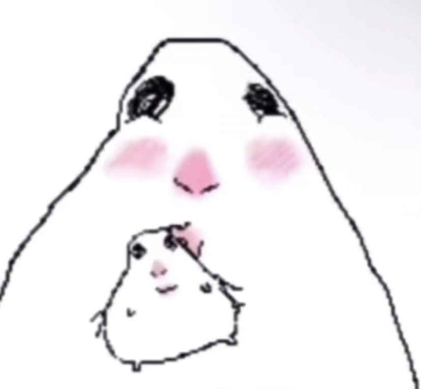 JAIN. 🎀 tweet media