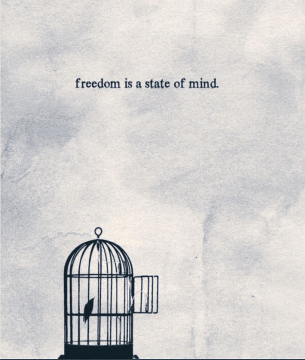 AWillbrandt1047's tweet photo. Freedom starts in your mind; everything else just follows. 🕊 #FreedomOfMind #MindOverMatter #quotes https://t.co/c5YmG3H20f