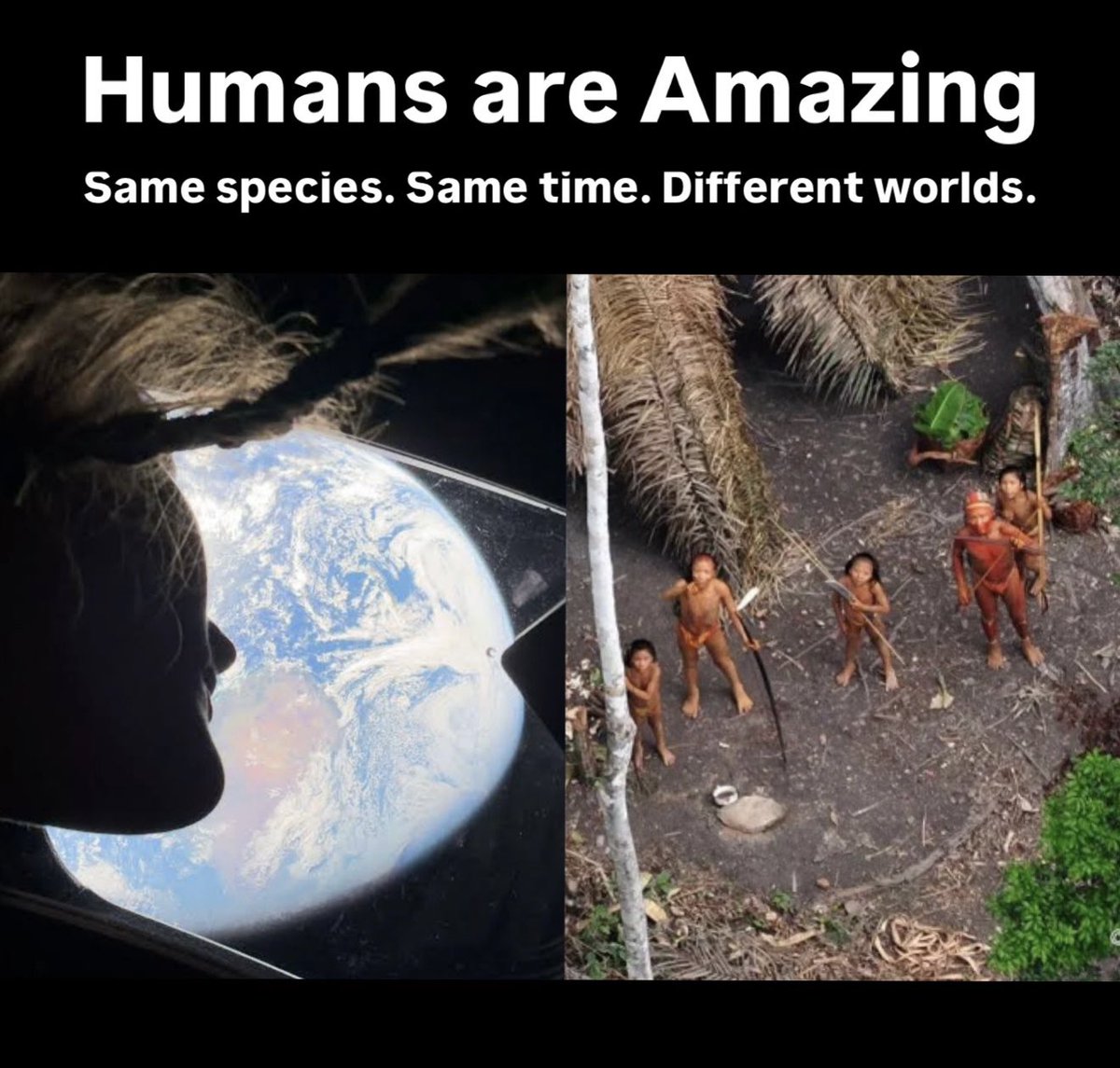 Paul Rosolie tweet media