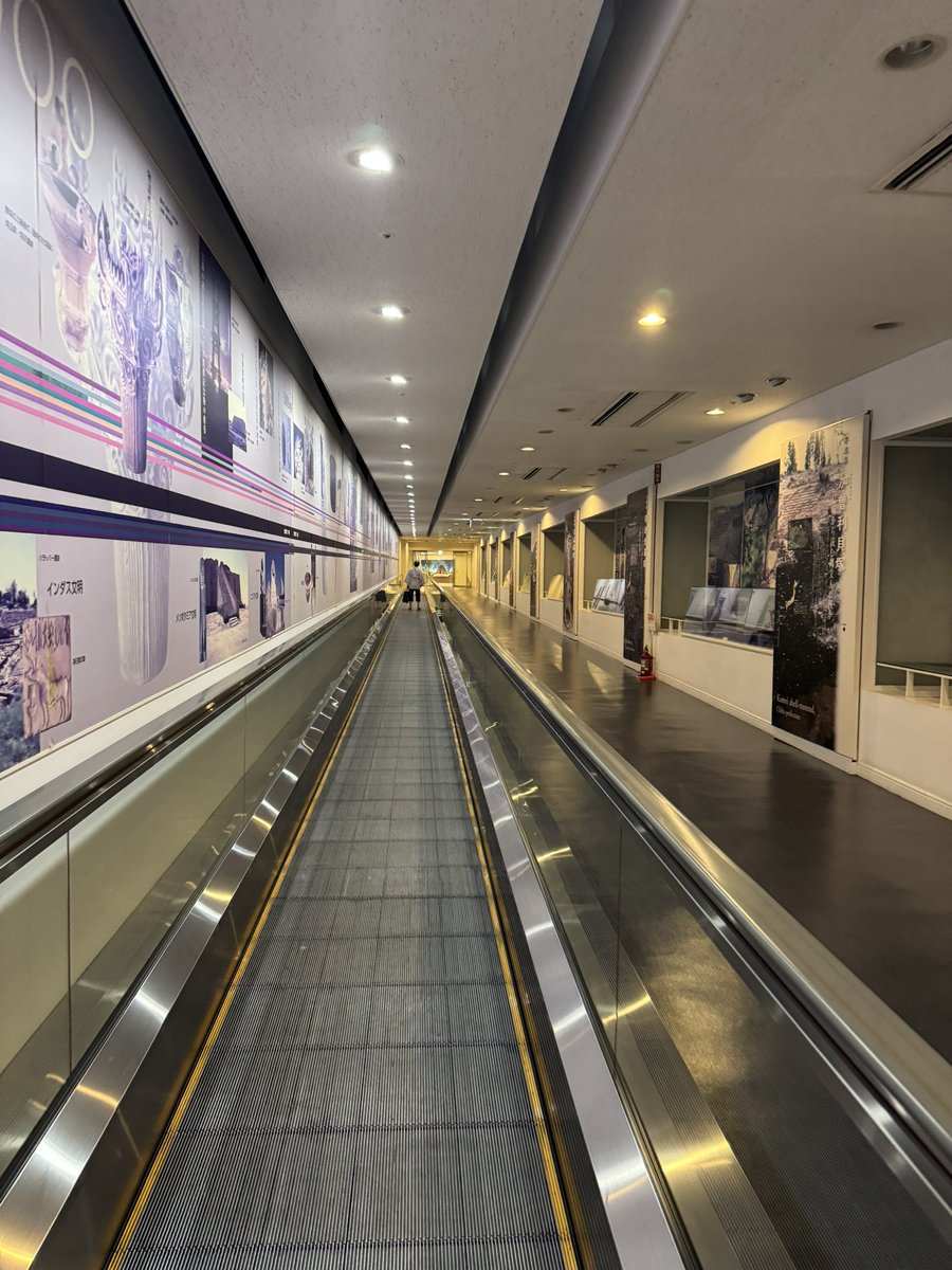 フィッツ tweet media