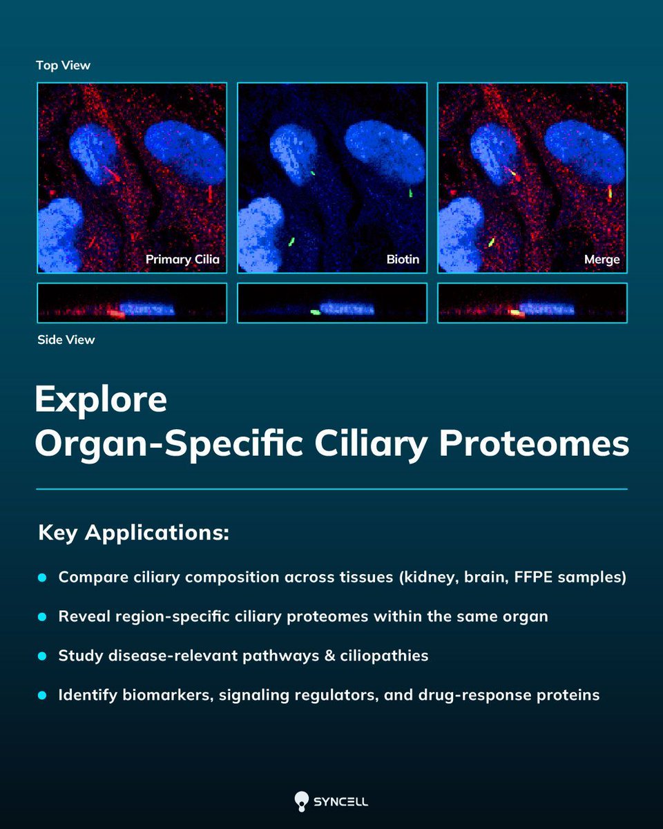Syncell Microscope Syncell Inc (@SyncellInc) / Posts / X