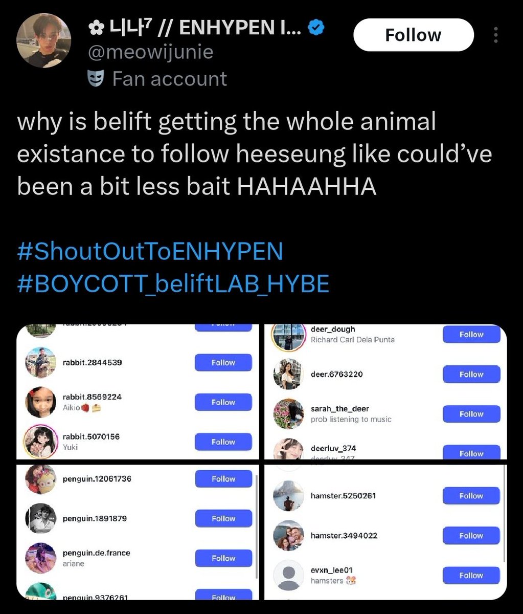 ꒰ ꒰ chae ⊹𐙚 ˖ | EN- 7 tweet media