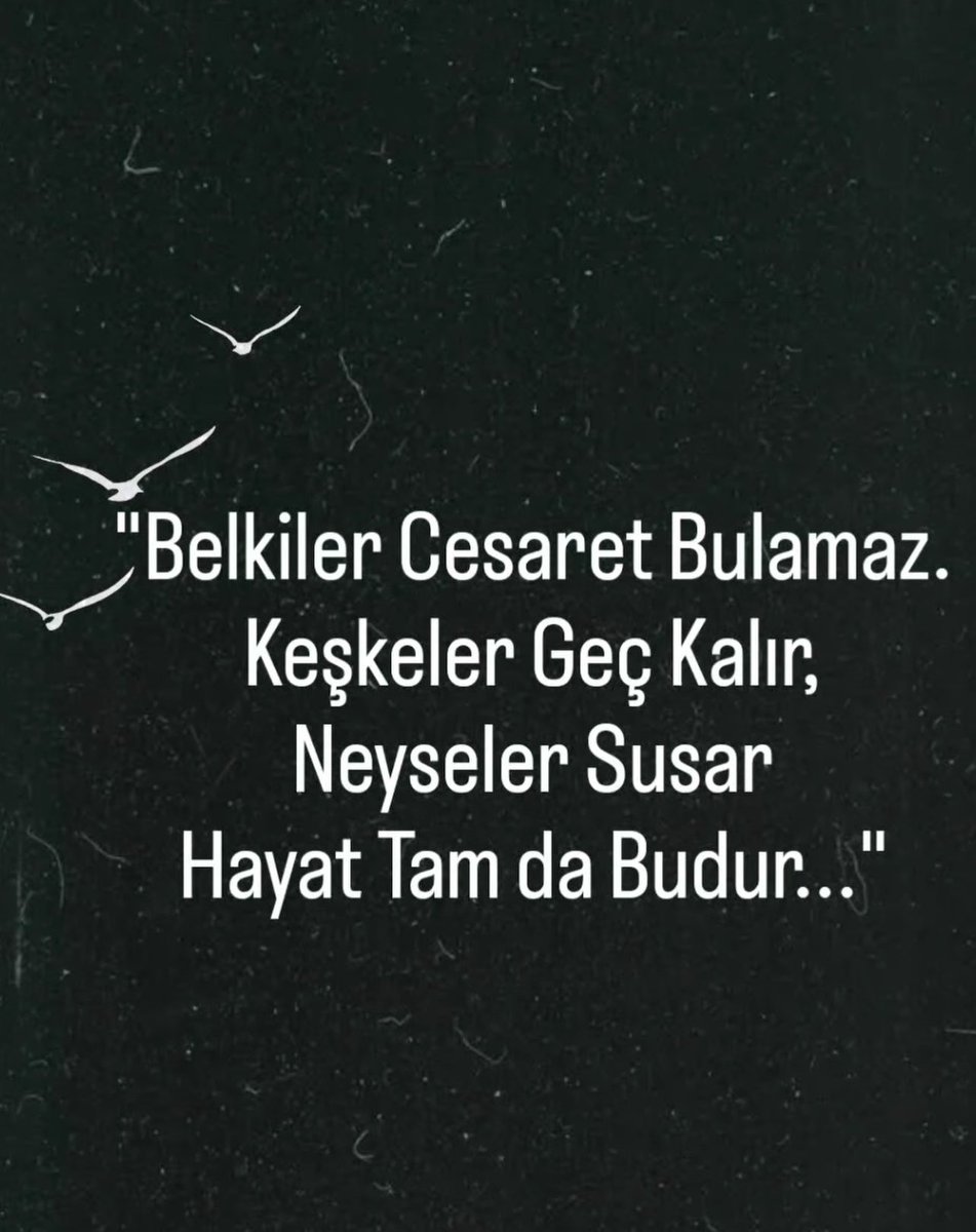 Centilmen tweet media