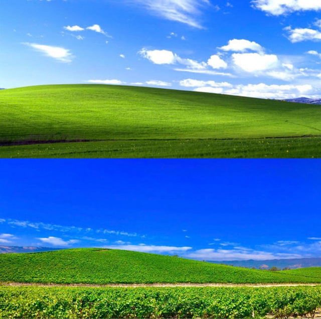 シュウジ@Netflixに入信 tweet media