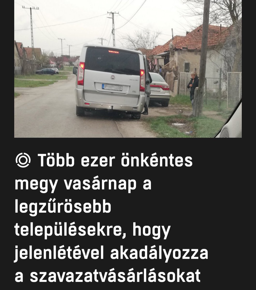 almaleves tweet media