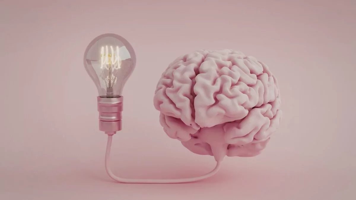 SIN24Horas's tweet image. Científicos revelan cómo el entorno acelera o frena el envejecimiento del cerebro #NoticiasSIN #Cerebro #Ciencia #Salud 

Detalles en: noticiassin.com/salud/2026/04/…