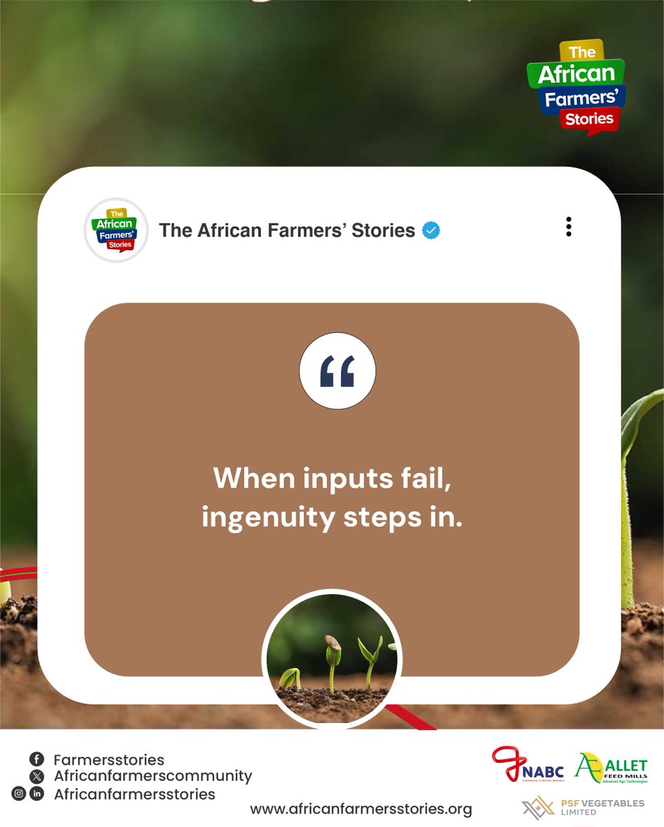 African Farmers Stories tweet media