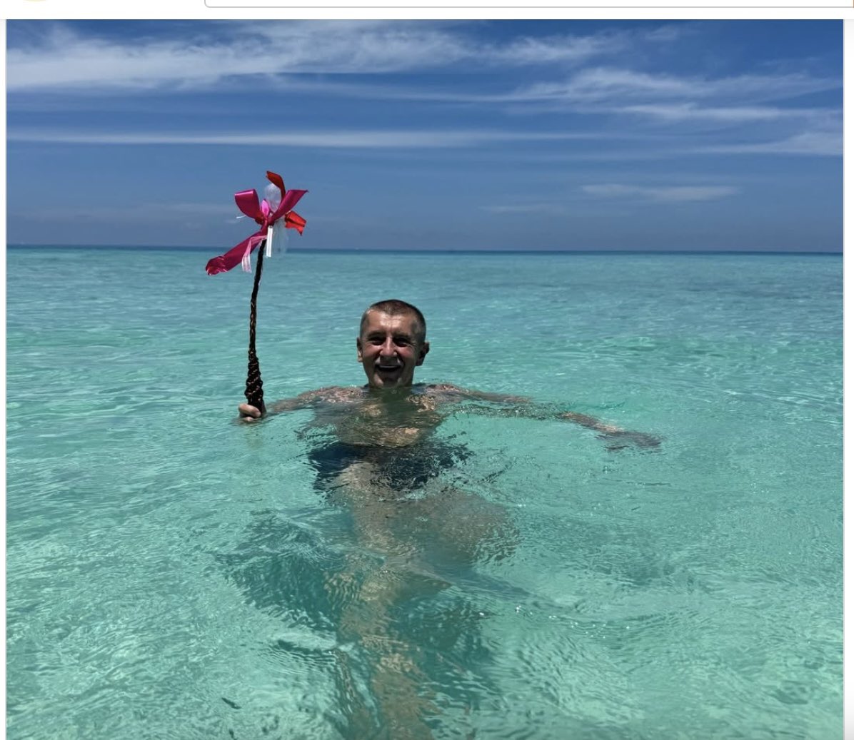 Miroslava Němcová tweet media