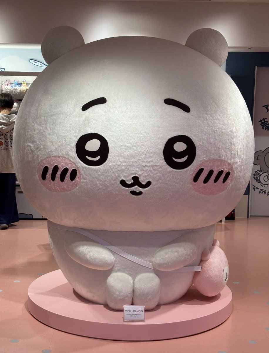 えびちゃん tweet media