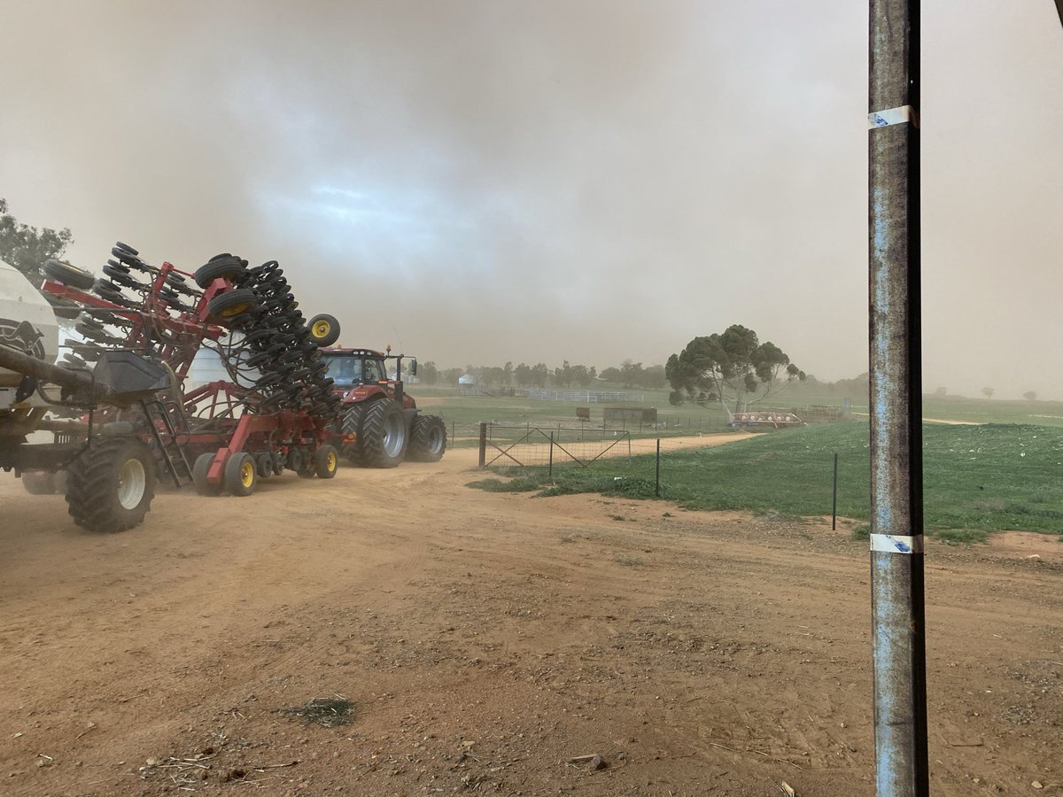 Buster Langtry tweet media