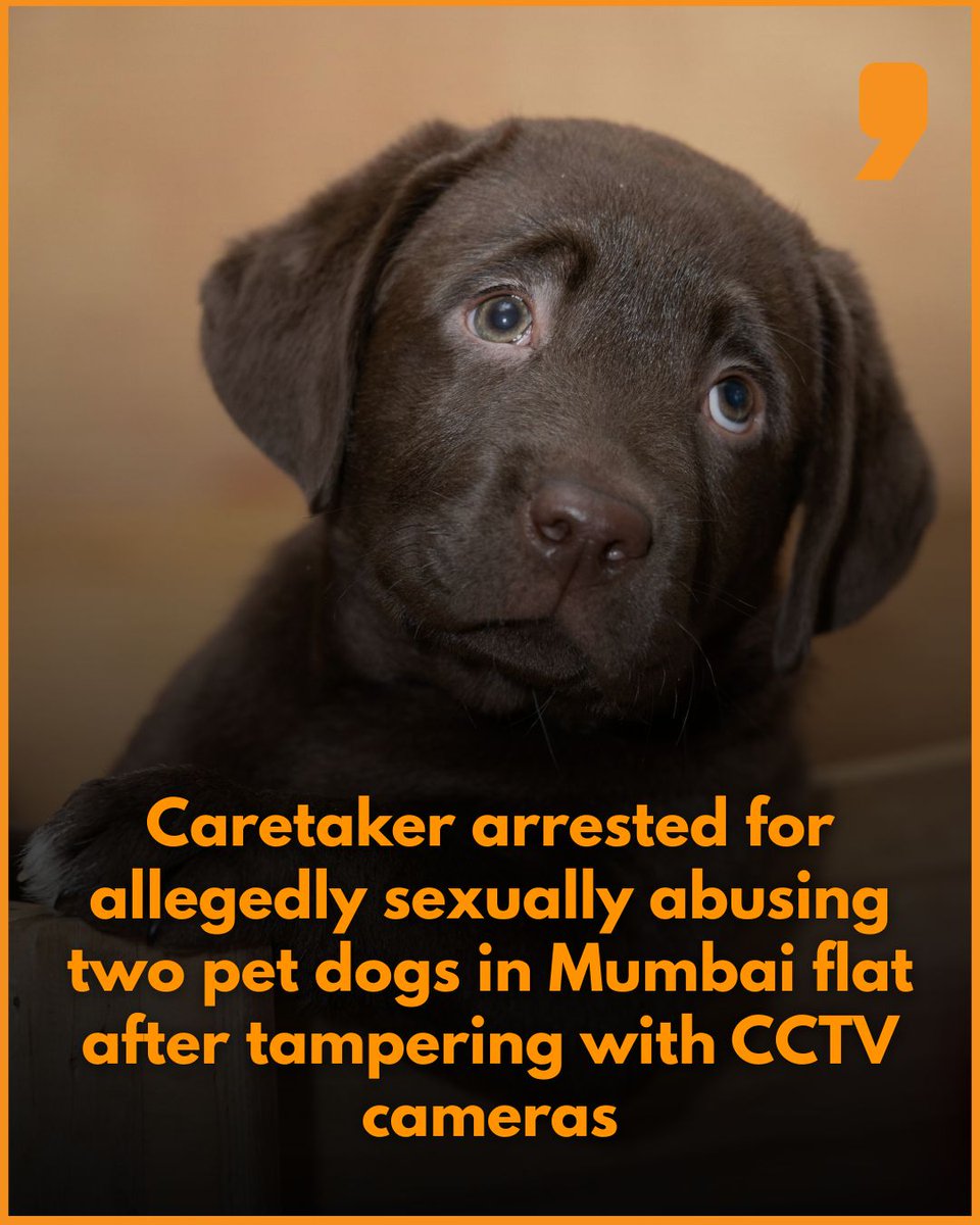 News9Tweets's tweet image. #Mumbai | A 31-year-old caretaker has been arrested by Amboli police in #AndheriWest for allegedly sexually abusing two pet female dogs after tampering with CCTV cameras. The accused, identified as Ranjan Shah, had been hired temporarily while the pet owner’s regular worker was
