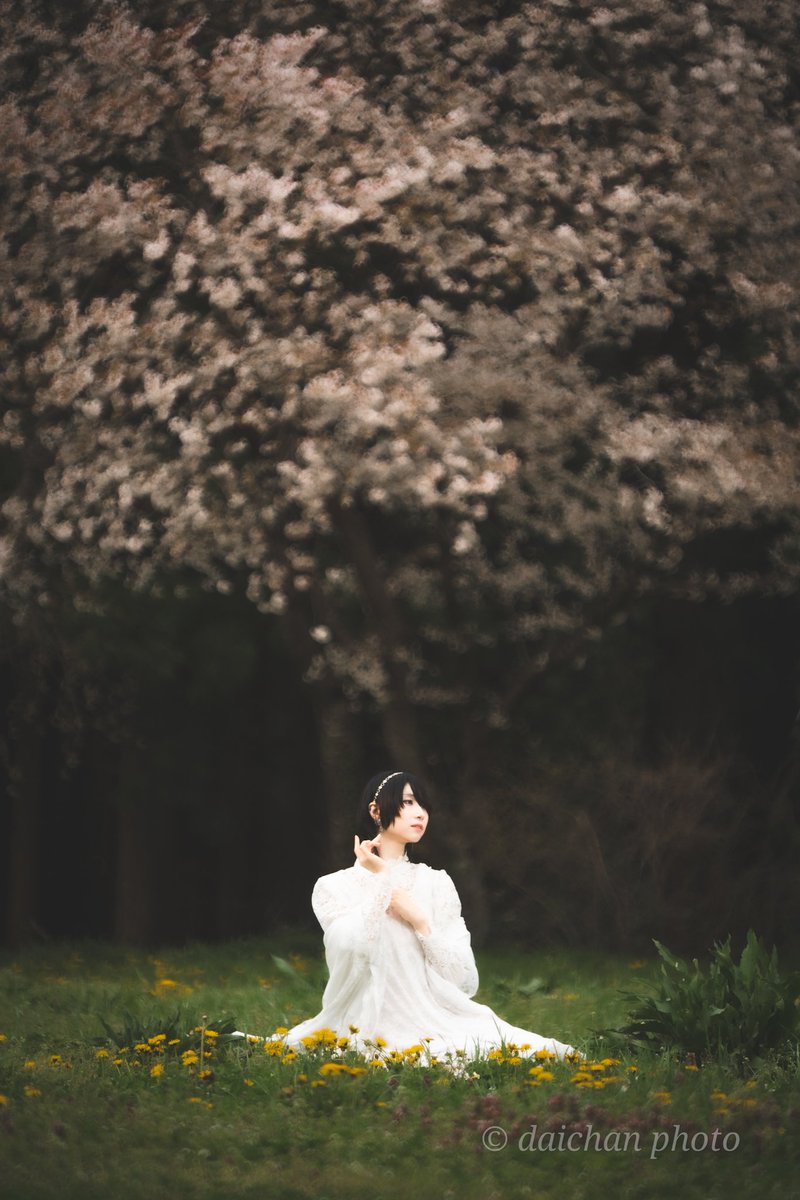 daichann_99_'s tweet photo. この雰囲気が好き。

model：＠itoridori33

#ポートレート #日中シンクロ #被写体募集中  #α9iii   #ニッシンデジタル #LS65C #GODOX #AD100PRO https://t.co/mtwhsCGx43