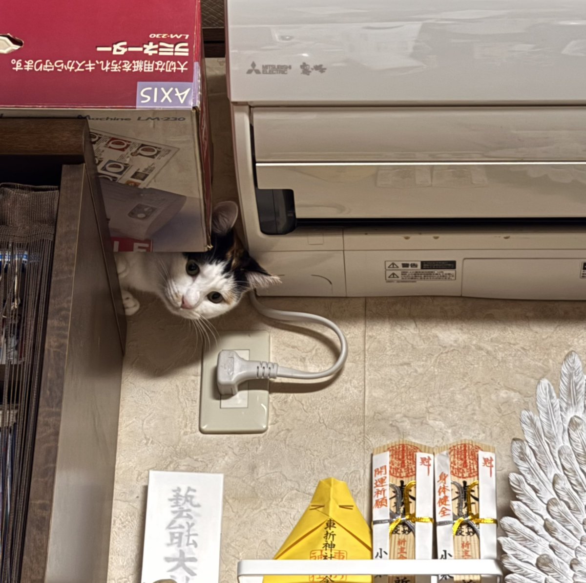 おぐりまさこ tweet media