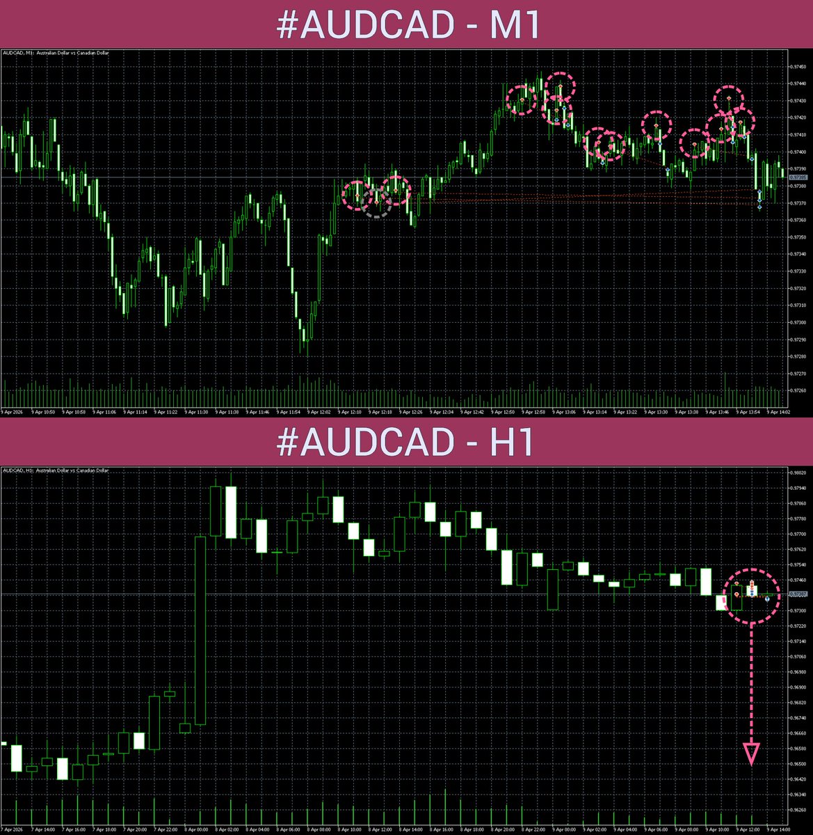 Home.ORA 🦾🚀 tweet media