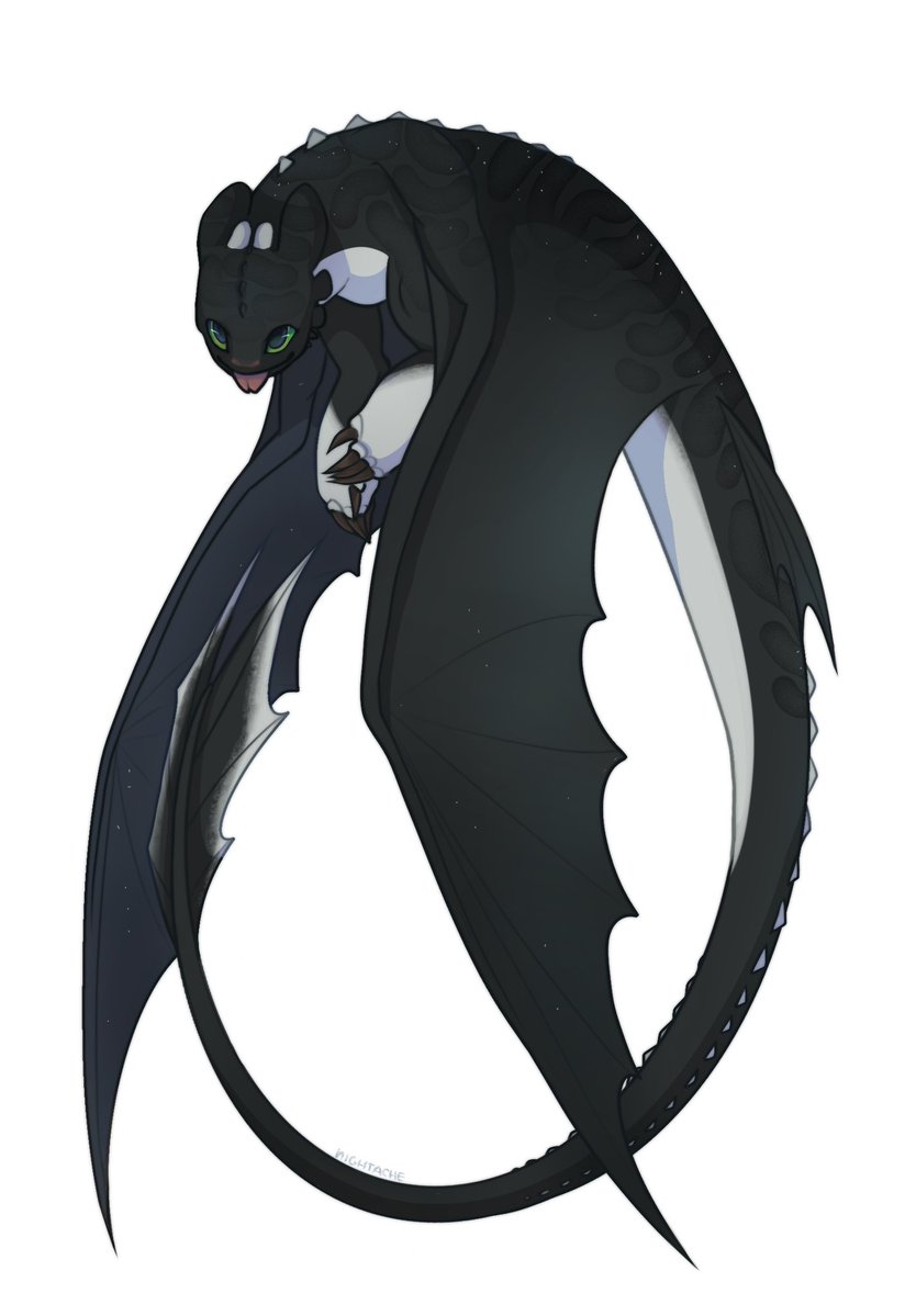 nightachee tweet media