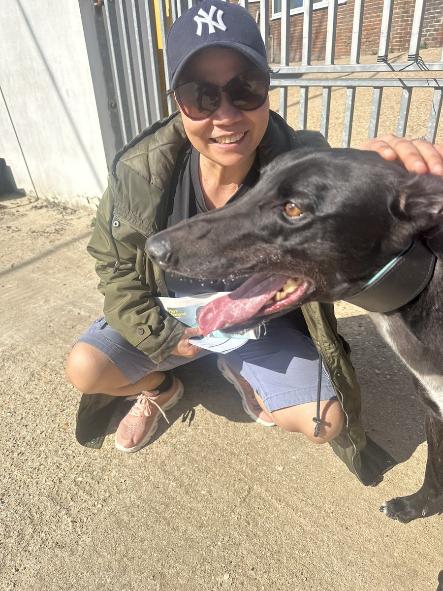 tipstermetro tweet media