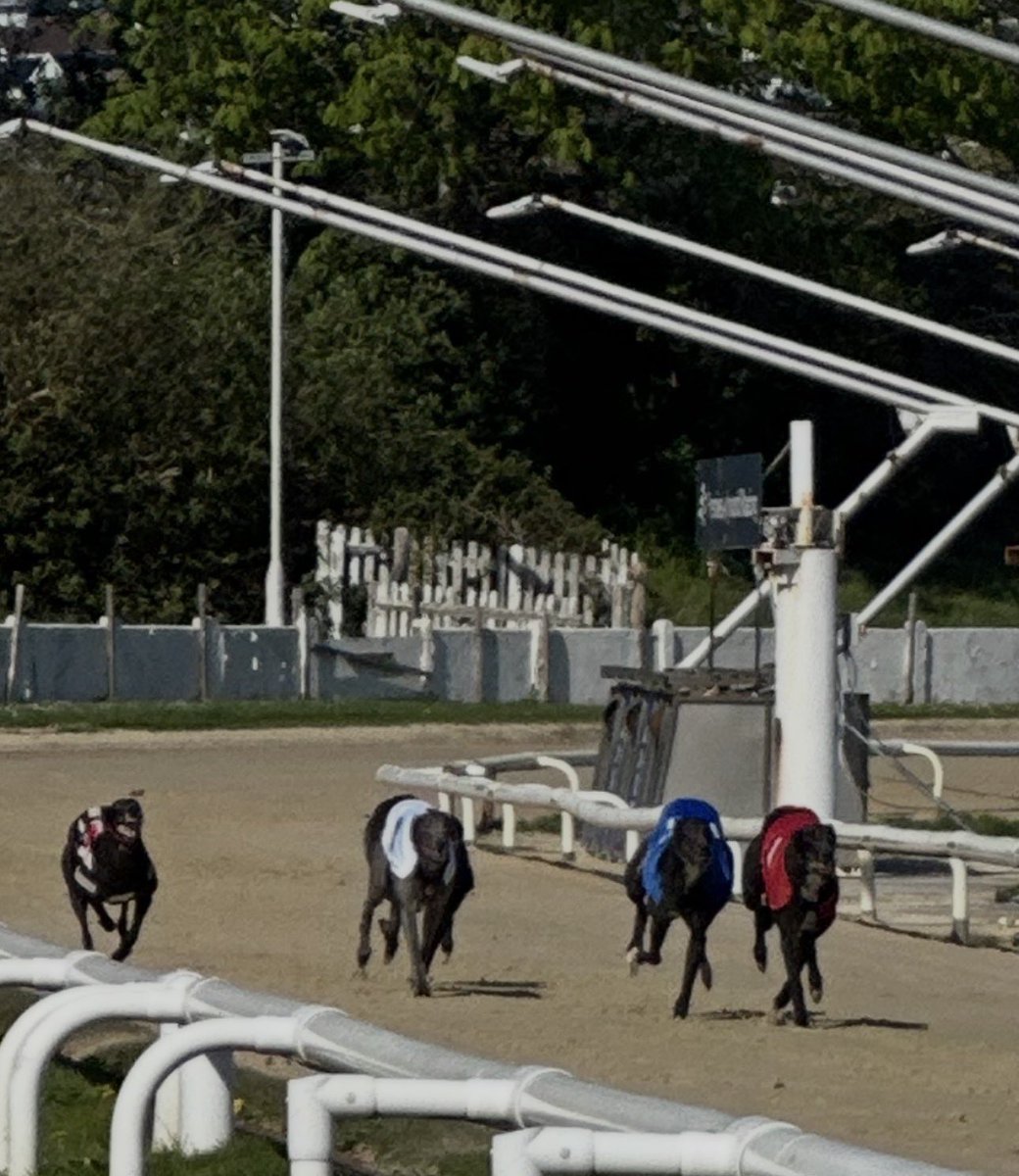 tipstermetro tweet media