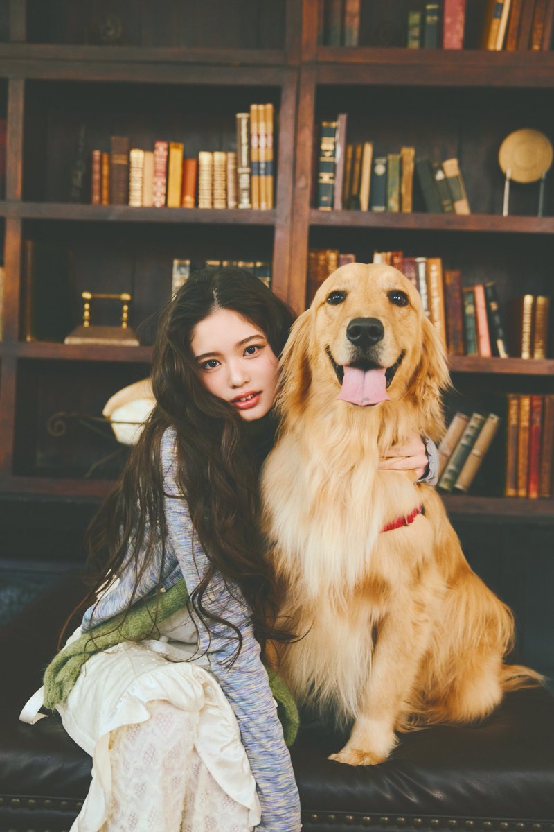 月刊わんこ編集部 tweet media