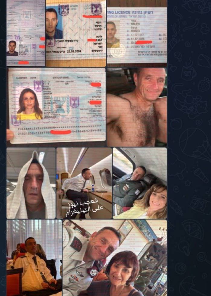 قطوفها دانية tweet media