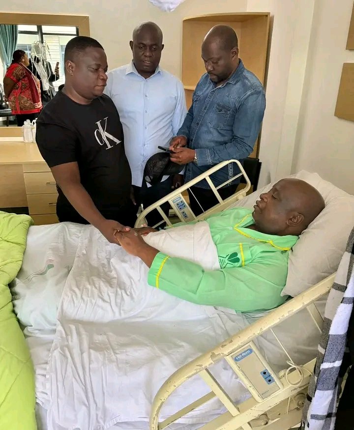 Lion of the Mountain tweet media