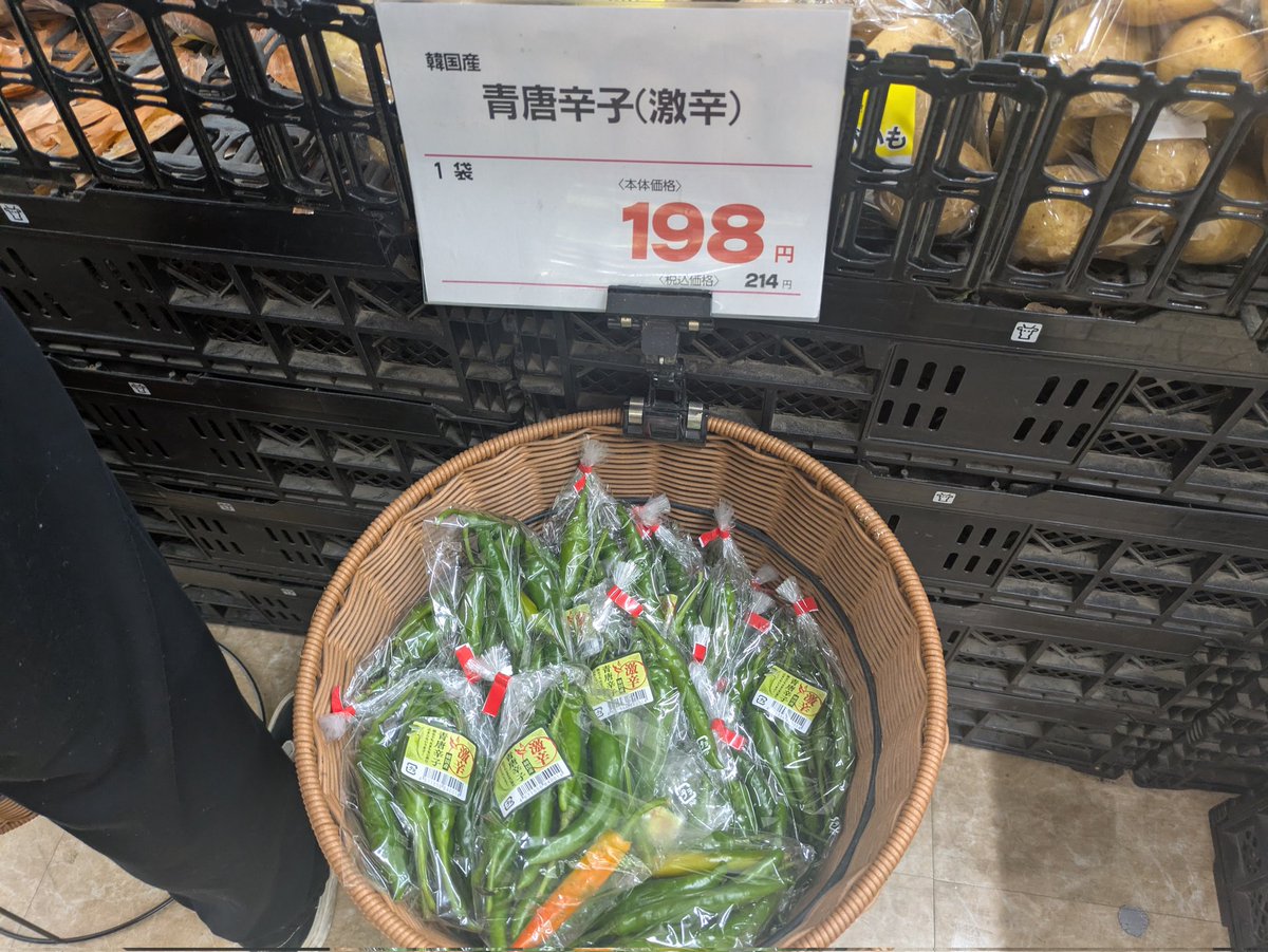 いかおす(もりした) tweet media