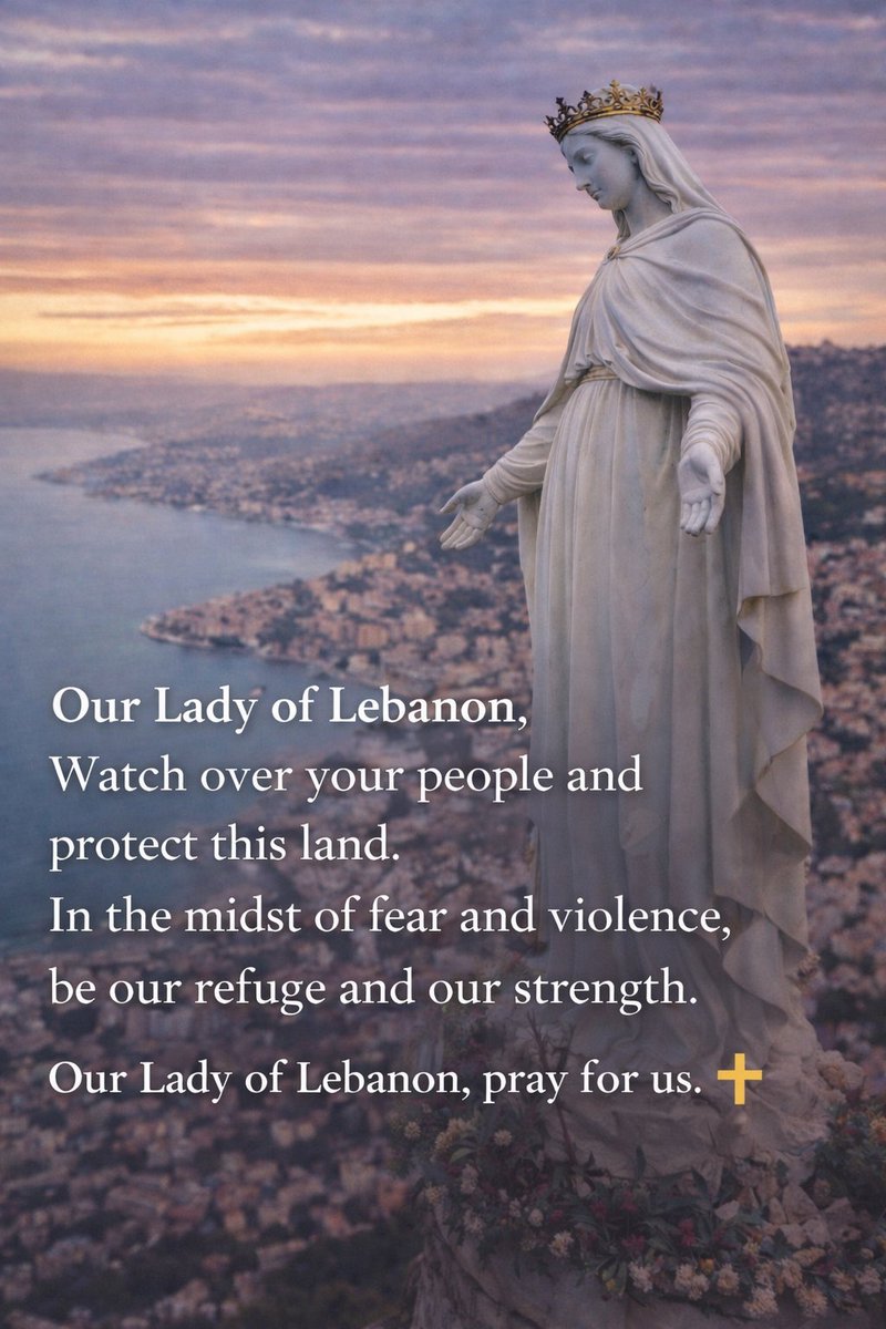 Cedars and Saints🇻🇦 tweet media