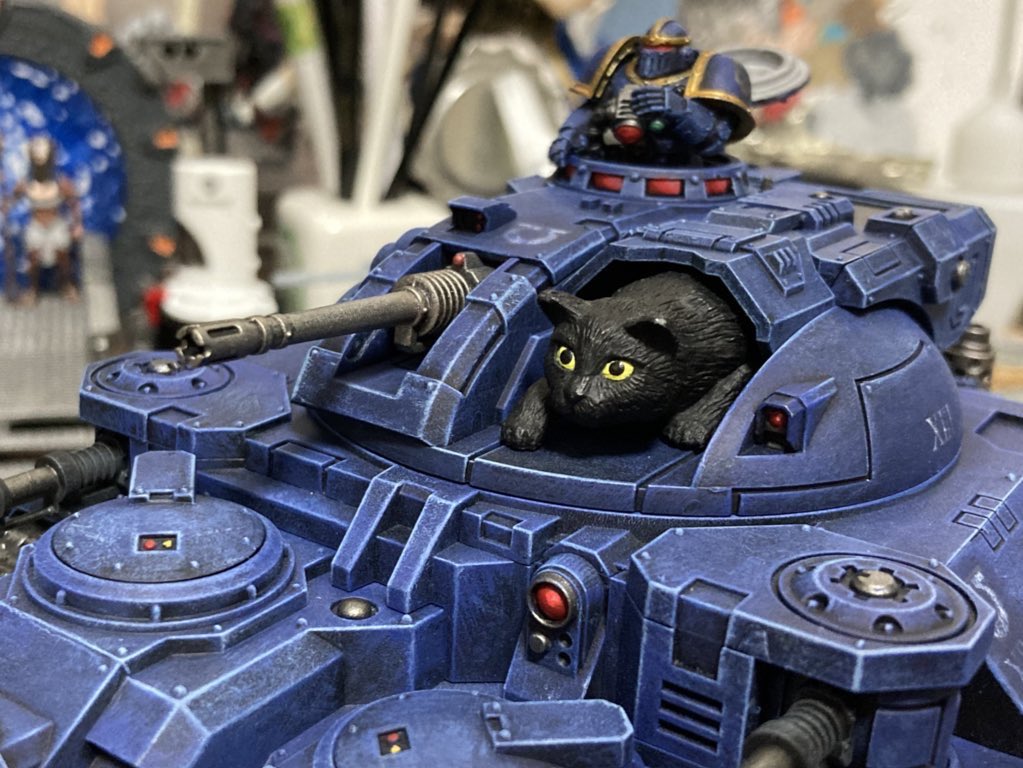 🐈Me-U🐈🦫 tweet media