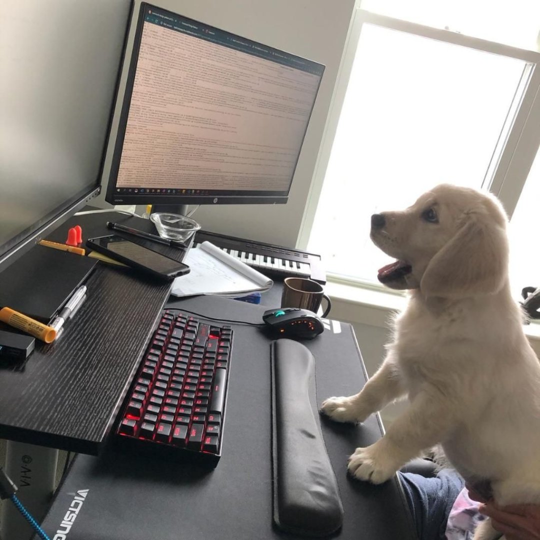 MathWorks tweet media