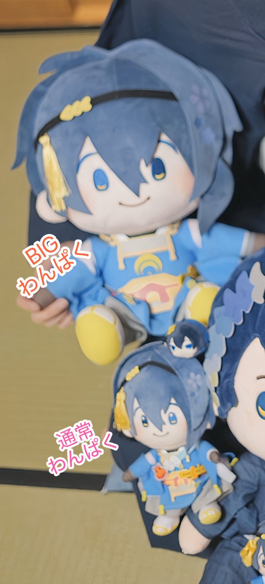 和月☾低浮上 tweet media