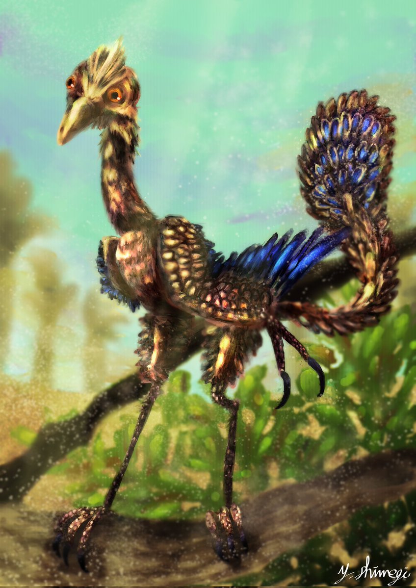 y. shimegiの雑多な日常 tweet media