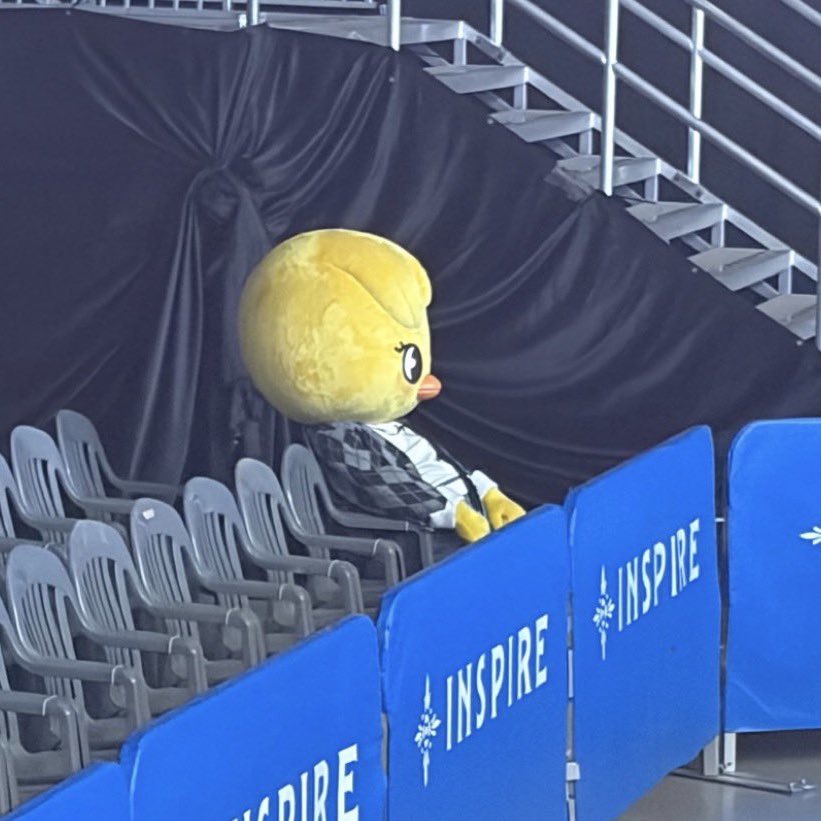 riss𐙚 chanlix enjoyer tweet media