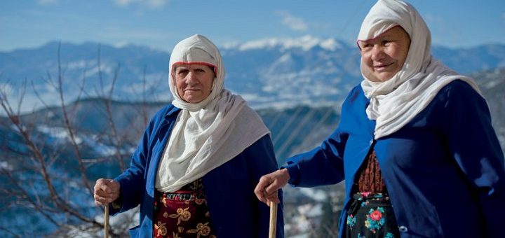 Homer Pavlos tweet media