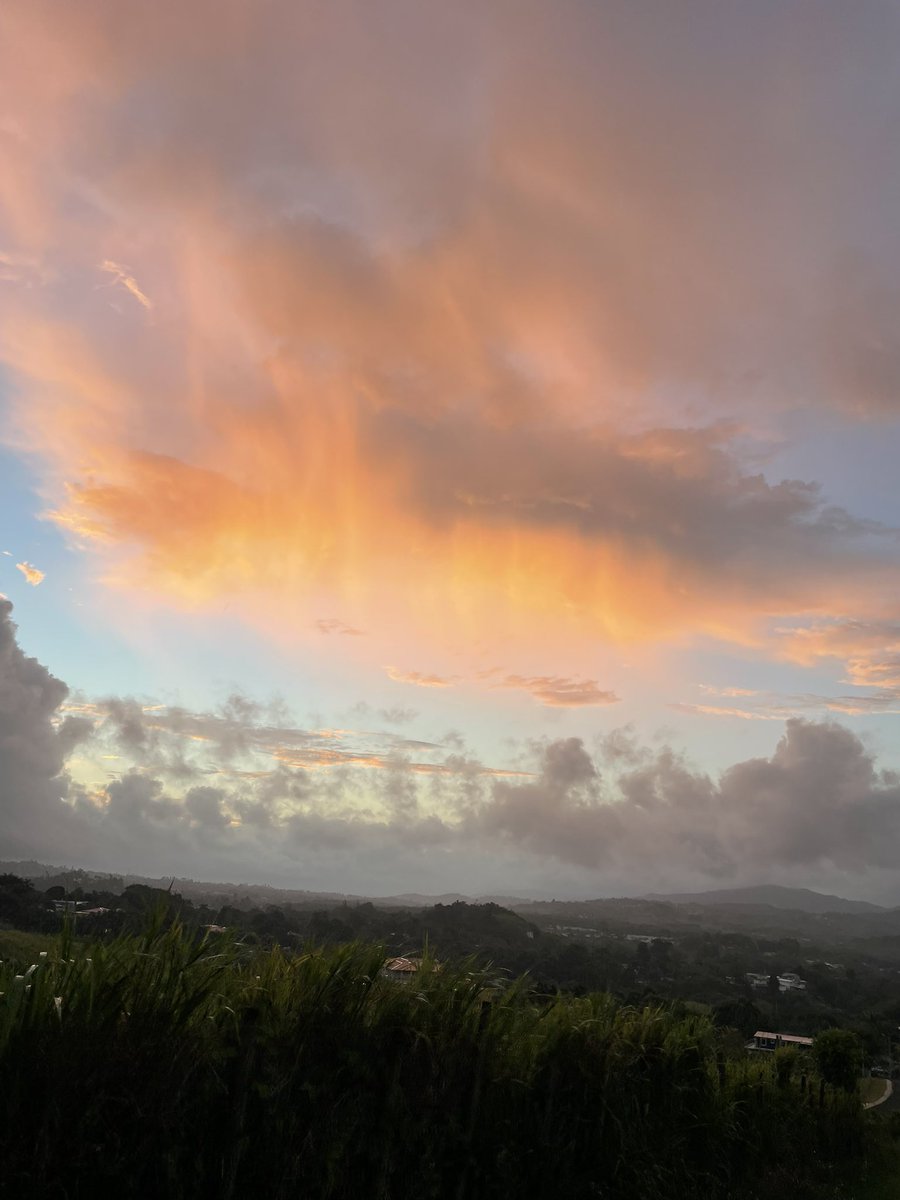 Ya50532822's tweet photo. @carlosomartv cidra , PR https://t.co/MVfSYAmYXt