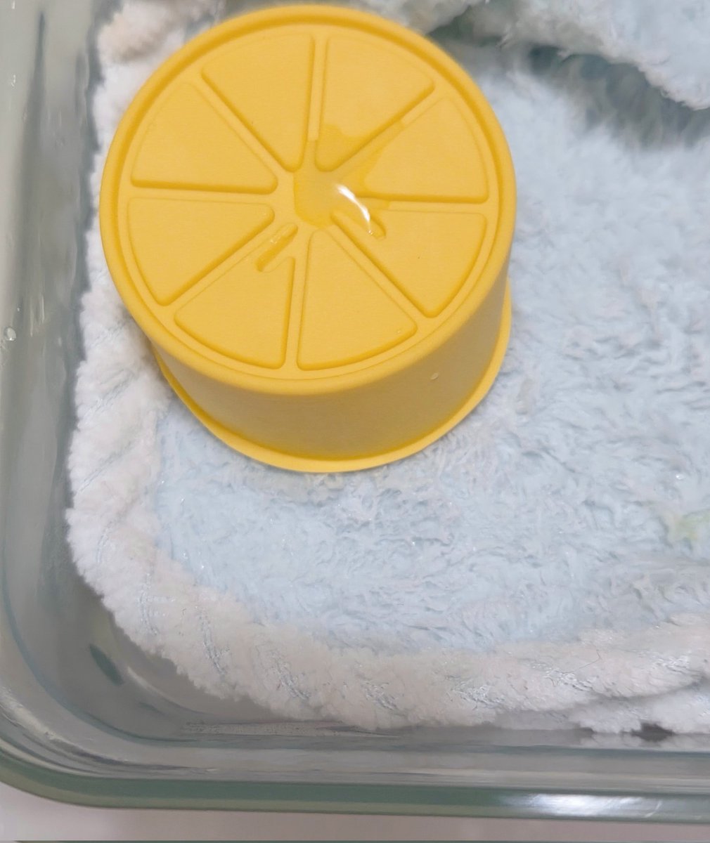 테풀잎 tweet media