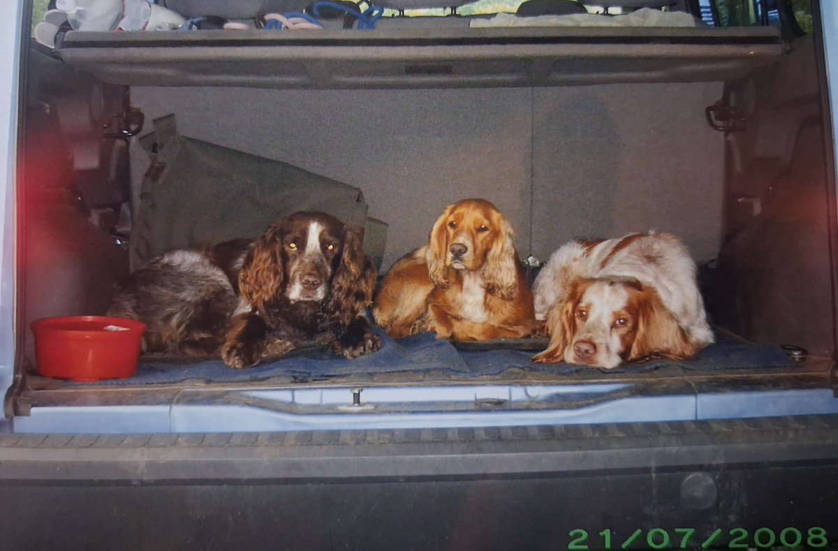 Kees Tinga tweet media