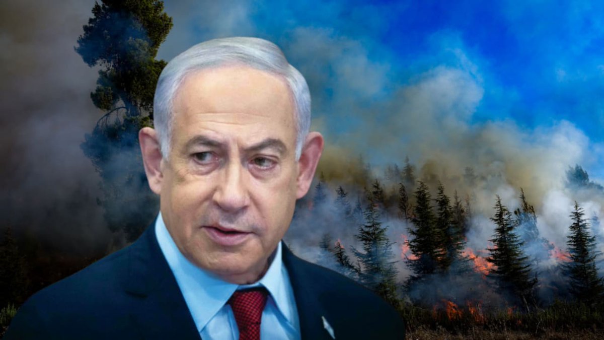 ANDRÉS.Cu tweet media