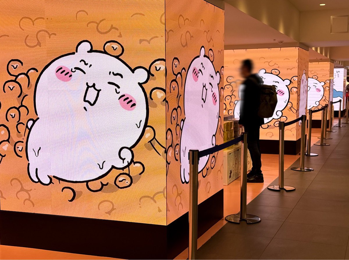 ꧁かあや꧂ tweet media